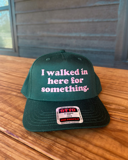 I Walked In Here For Something Hat